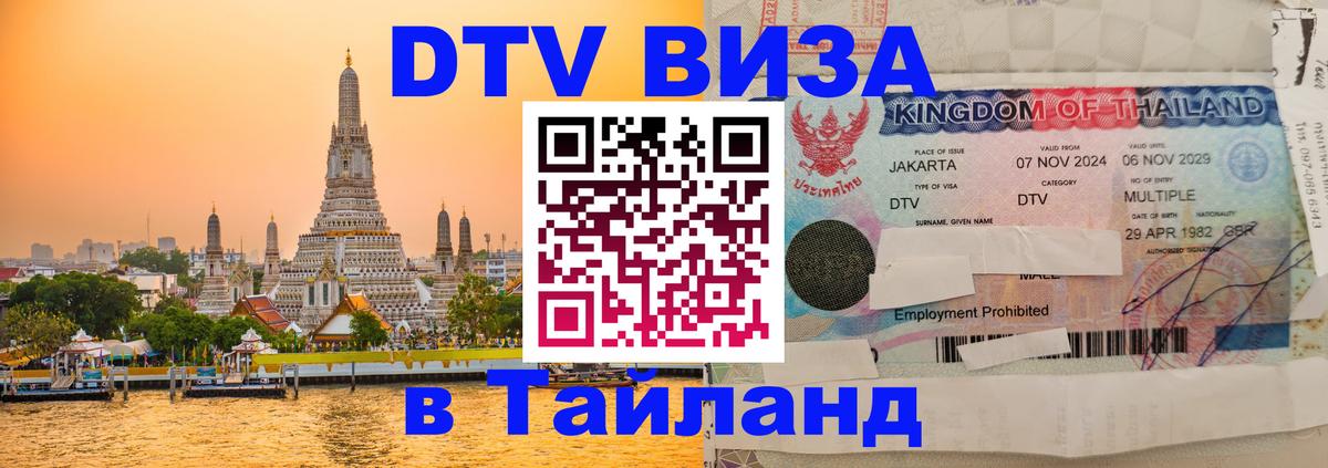 Оформление DTV визы под ключ: стоимость и тарифы, только загранпаспорт - Липецк 